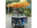 Carrito para Helados B4-12 (6 Sabores)