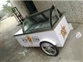Carrito para Helados B4-15 (8 Sabores)